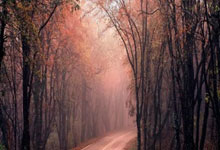 雄心壮志，欧国联舞台上再掀激情狂潮